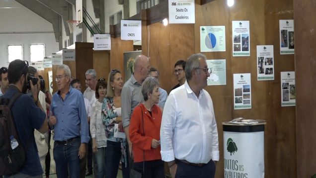 feira agricultura 2019