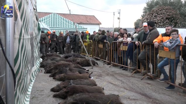 festa tordo 2020