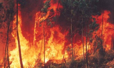 Vinhais vai receber nove unidades locais de combate a incêndios florestais