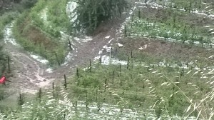 11406632_1089523534394498_6986708992563548035_o