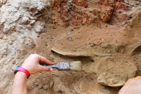 Escavações em Freixo de Espada à Cinta revelam vestígios do século XV