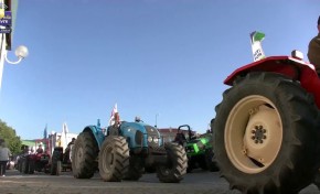 ONDA LIVRE TV – II Feira da Agricultura de Trás-os-Montes