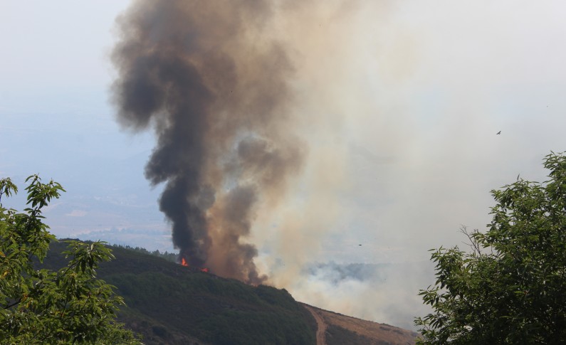 Incêndio em Chacim tem duas frentes ativas (atualização)