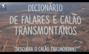 ONDA LIVRE TV - "Dicionário dos Falares e Calão Transmontanos"