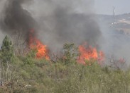 Ataque inicial em massa mostra-se eficaz no combate a incêndios no concelho de Macedo de Cavaleiros
