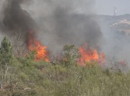 Ataque inicial em massa mostra-se eficaz no combate a incêndios no concelho de Macedo de Cavaleiros