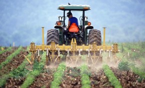Distrito de Bragança não vai ser contemplado com medidas de apoio do Governo ao investimento nas explorações agrícolas
