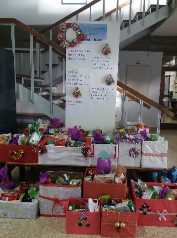 Recolha de bens solidários pelos alunos da escola de Macedo resulta em 30 cabazes de Natal