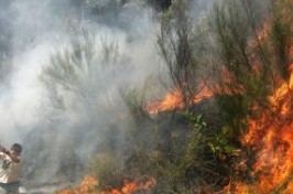 Bragança é um dos distritos com menos incêndios rurais este ano