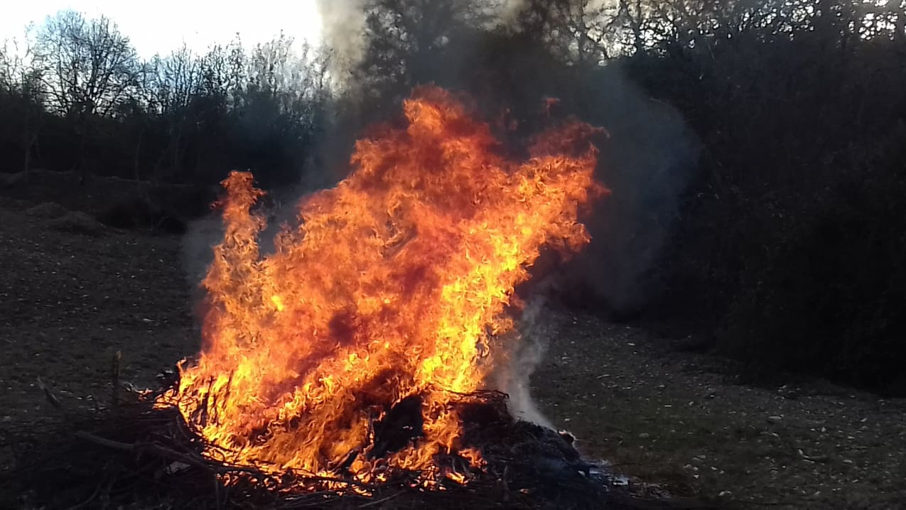 Queima de sobrantes originou incêndio florestal no concelho de Bragança