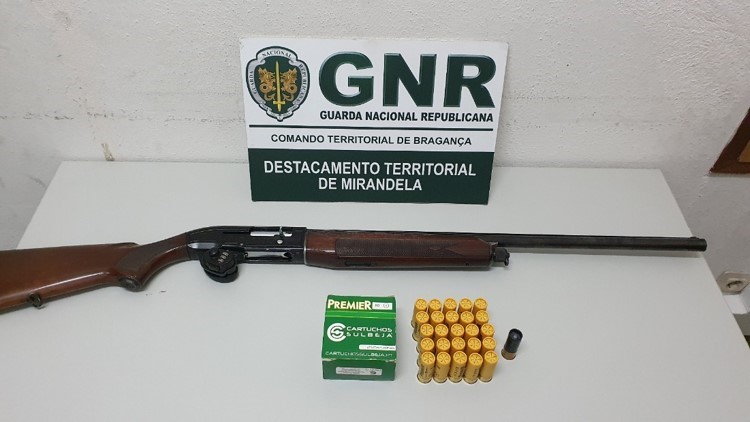 Dois detidos em Mirandela por caçar em horário ilegal e com meio não permitido