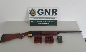 GNR Bragança - Apreensão 2