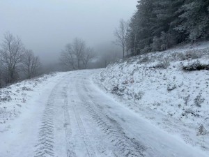 IMG-20230118-WA0001