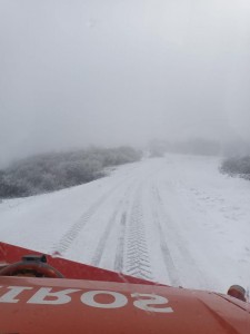 IMG-20230118-WA0010