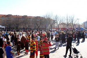 IMG_3590