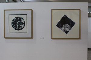 IMG_3653