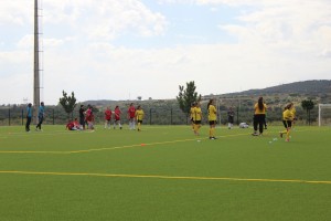 IMG_4259