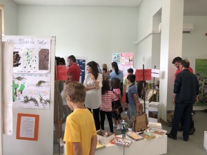 IMG-4313