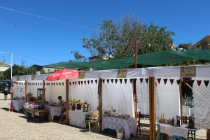 IMG_6617