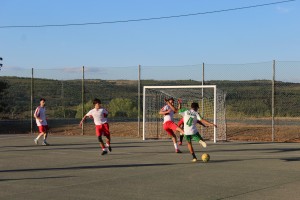 IMG_6960