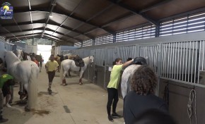 ONDA LIVRE TV - III Encontro Equestre decorreu em Grijó com algumas novidades