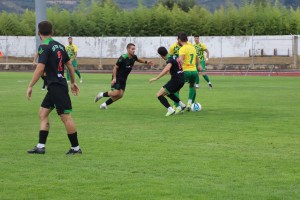 2c447666-df2c-417a-bf52-85d0c24d8848