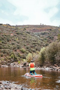 cfc71af1-9c22-4aa3-bff9-e4223a459be2