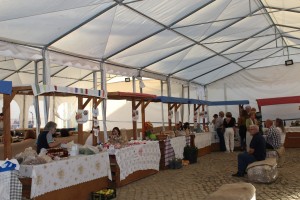 IMG_8233
