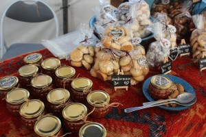 IMG_8236