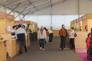 IMG_9105