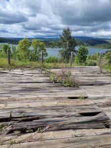 WhatsApp Image 2024-05-02 at 10.55.52