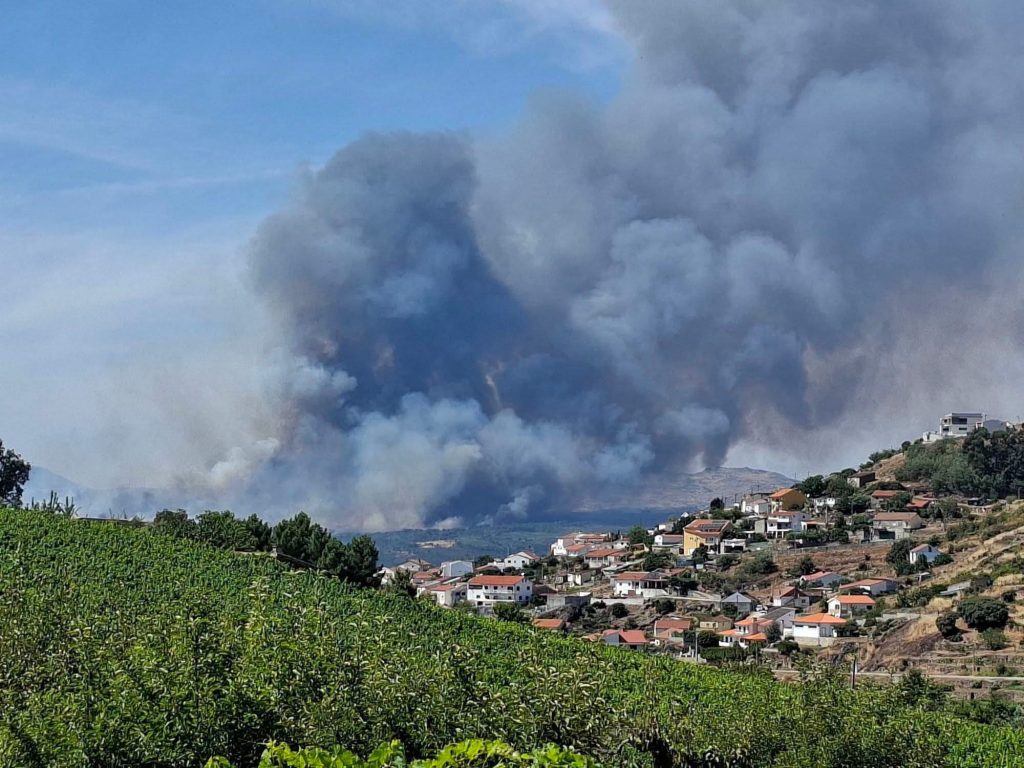 incendio agrelos