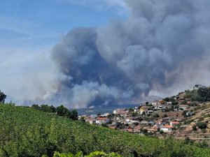 incendio agrelos