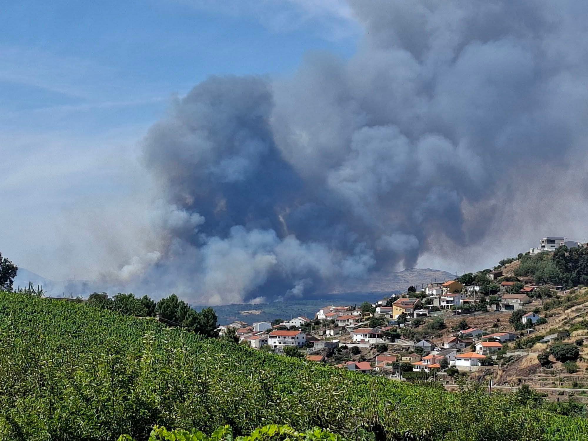 incendio agrelos
