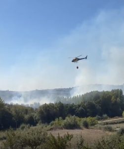 Incêndio Vale da Porca