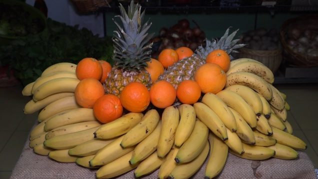 ONDA LIVRE TV – Frutas da Vilariça continuam a ser das mais famosas na região