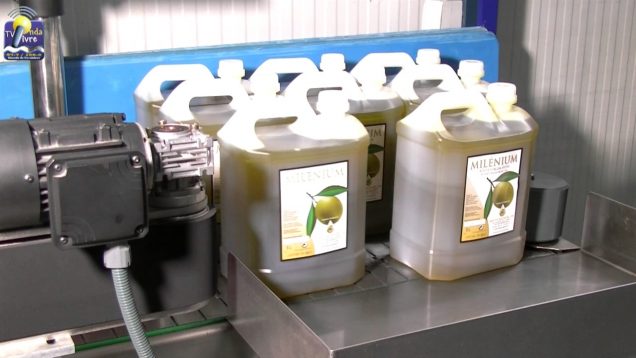 ONDA LIVRE TV – Visita ao lagar dos Azeites Milénium em Mirandela
