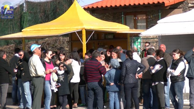 rural arcas 2