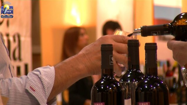 ONDA LIVRE TV – 6º Festival do Vinho do Douro Superior