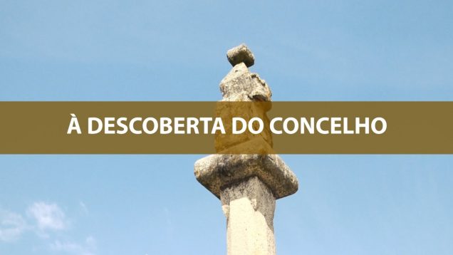 ONDA LIVRE TV – À descoberta do concelho Macedense