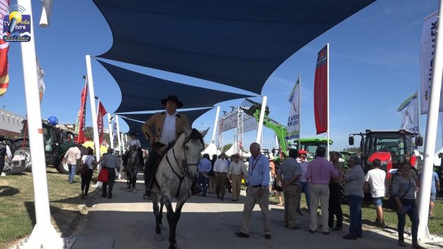 ONDA LIVRE TV – Feira Nacional da Agricultura e visita ao Douro