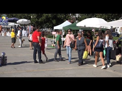 ONDA LIVRE TV – 4º Mercado de Verão