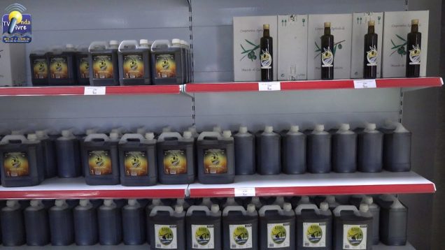 ONDA LIVRE TV – Cooperativa Agrícola reativa Loja da Agricultura