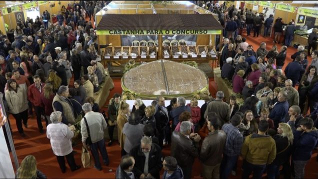 ONDA LIVRE TV – Feira da Castanha de Carrazedo de Montenegro