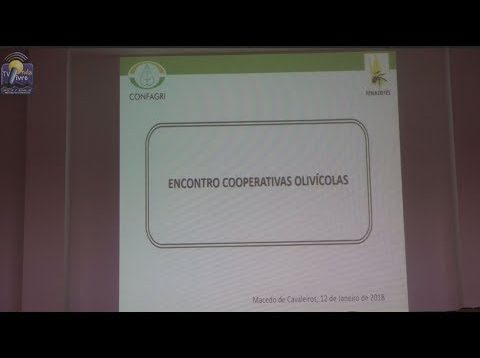 ONDA LIVRE TV – Cooperativa Agrícola regista melhor campanha de azeite em 2017