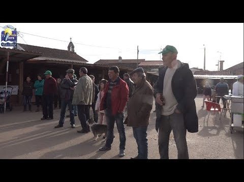 ONDA LIVRE TV – AgroLimãos decorreu pelo terceiro ano consecutivo