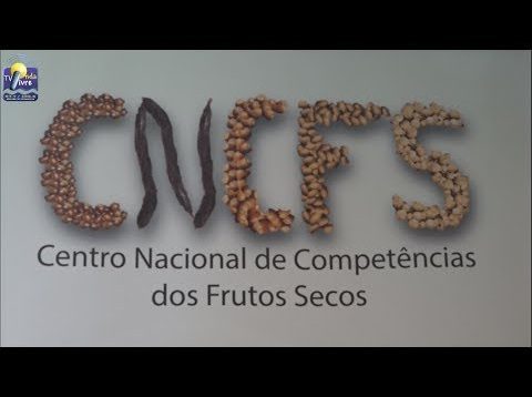 ONDA LIVRE TV – Seminário “Oportunidades e desafios no setor dos frutos secos”