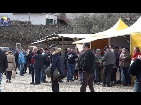 ONDA LIVRE TV – Feira do Folar em Vilarinho de Agrochão