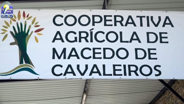 ONDA LIVRE TV – Reportagem: Cooperativa Agrícola de Macedo, passado e futuro