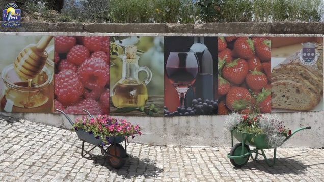 ONDA LIVRE TV – Feira do Vinho e dos Morangos de São Pedro Velho 2018